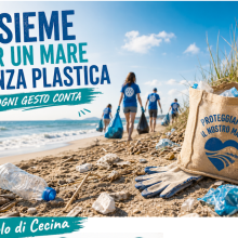 Pulizia spiaggia 2026