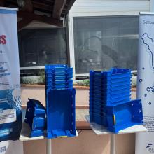 Cassetta plastica Blue Fishers